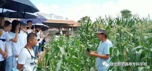 德宏師范高等專科學校2022年高職單招招生專業介紹