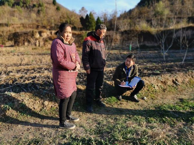 規范苗圃企業的經營行為,確保了我市林木種苗市場有序生產與經營