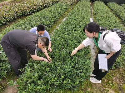 2022年省級種苗質(zhì)量監(jiān)督抽查工作圓滿完成