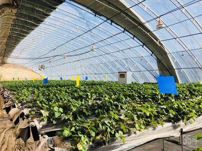 聯點數據:從高附加值農作物切入,為4000億市場提供標準化種植服務