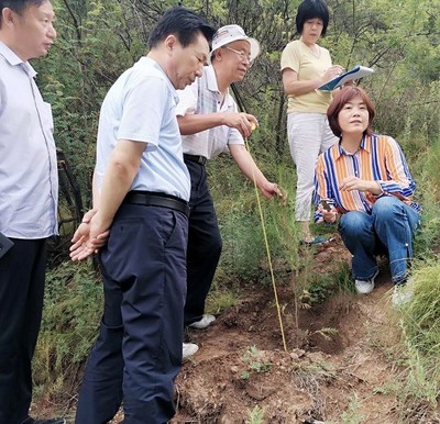 山西省種苗總站赴關帝林局進行種苗質量抽查和生產經營許可事項“雙隨機”執法檢查工作