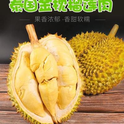 林業(yè)局印發(fā)《林木種子生產(chǎn)經(jīng)營檔案管理辦法》