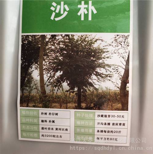 【***新采摘林木種子 樸樹種子 發(fā)芽率高 價格便宜 批發(fā)價】價格_廠家