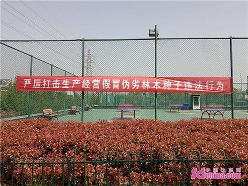 依法治種 依法用種 淄博高新區(qū)自然資源和規(guī)劃分局開展2021年種苗 雙打 宣傳活動
