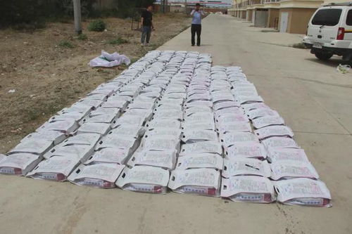 涉案超200萬元 新疆阿勒泰市破獲一起生產銷售假冒偽劣種子案