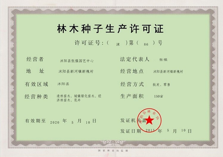 牽牛花 花卉種子 矮牽牛花 彩色花卉 爬藤牽牛 大牽牛 重瓣牽牛花