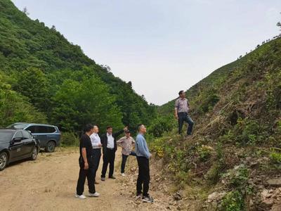 市林業(yè)局來我縣檢查林木種苗工作