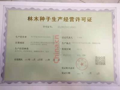 工程樹苗叢生紫薇 農天苗木 西洋水楊梅 咨詢