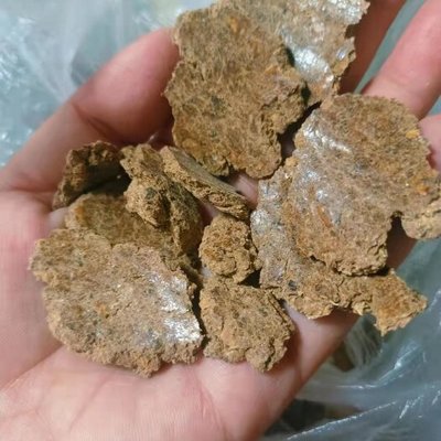 林業局印發《林木種子生產經營檔案管理辦法》