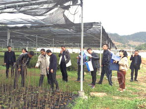 我縣種苗質量獲省檢查組肯定