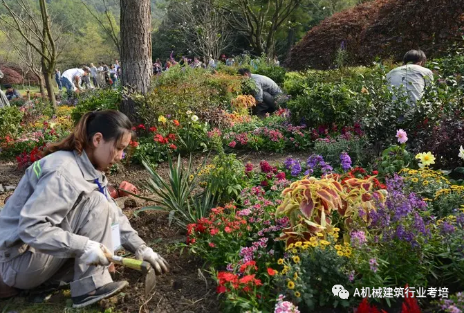 園藝師證書大用處,拿林木種子生產經營許可證必不可少