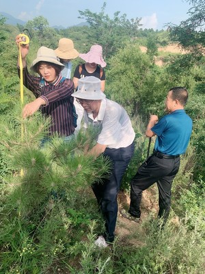 山西省種苗總站赴晉中市進行種苗質量抽查和生產經營許可事項“雙隨機”執法檢查工作