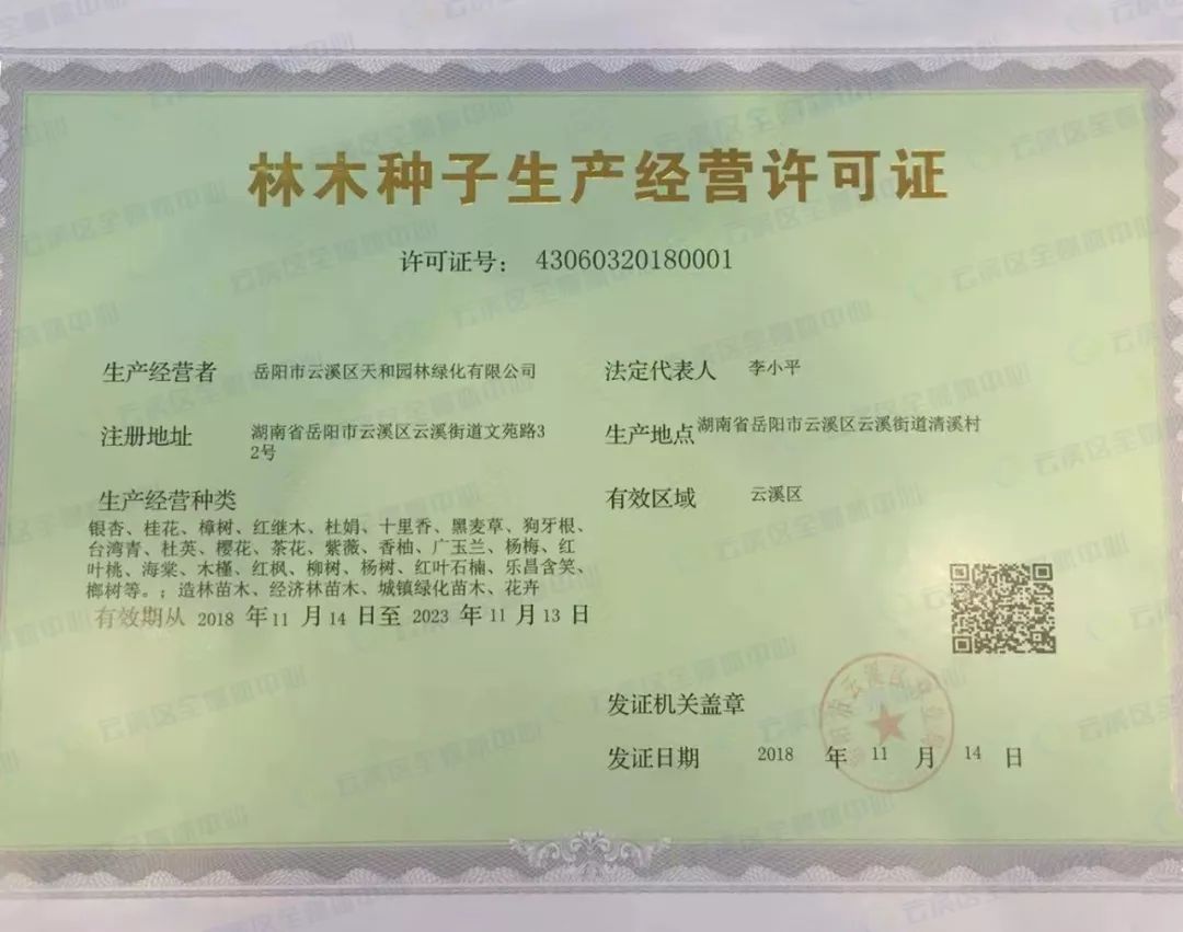 快來看看新鮮出爐啦云溪區(qū)第一本林木種子生產(chǎn)經(jīng)營(yíng)許可證