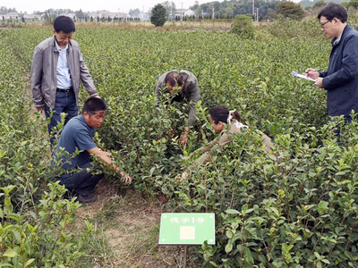 縣林業(yè)局:開展林木種苗“雙隨機(jī)、一公開”專項(xiàng)檢查行動(dòng)