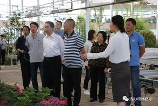 自治區(qū)人大常委會(huì)調(diào)研組來我縣調(diào)研