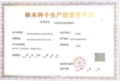 《桐梓縣夜郎鑫源農(nóng)業(yè)發(fā)展》刺竹苗、方竹苗