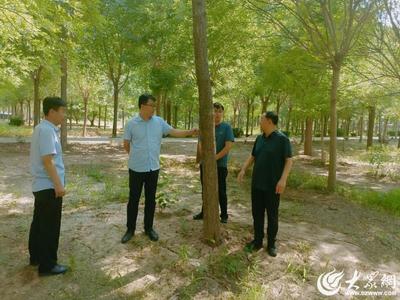 德州市自然資源局開展2024年林木種苗質(zhì)量抽查工作
