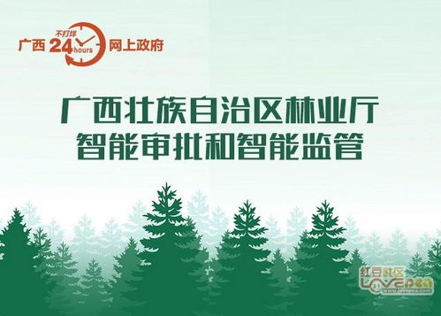 2017年政府網(wǎng)站評選,請為廣西投一票