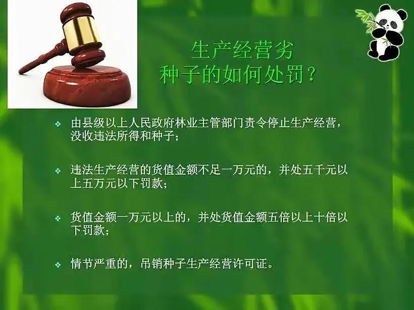 《大家說法》(161)關(guān)注《種子法》