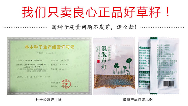 草籽種子吸水石上水石假山盆景造景裝飾小葉戀石大葉戀石混裝批發(fā)