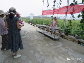 臺(tái)兒莊區(qū)林業(yè)局開展 打擊假劣種苗和侵犯植物新品種權(quán) 宣傳活動(dòng)