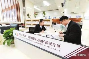 湖北加快自貿(mào)區(qū)建設(shè),61項(xiàng)省級(jí)經(jīng)濟(jì)管理權(quán)限下放