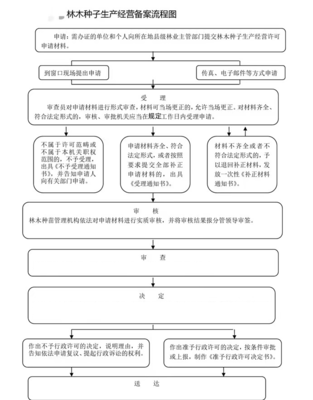 林木種子生產(chǎn)經(jīng)營備案流程圖