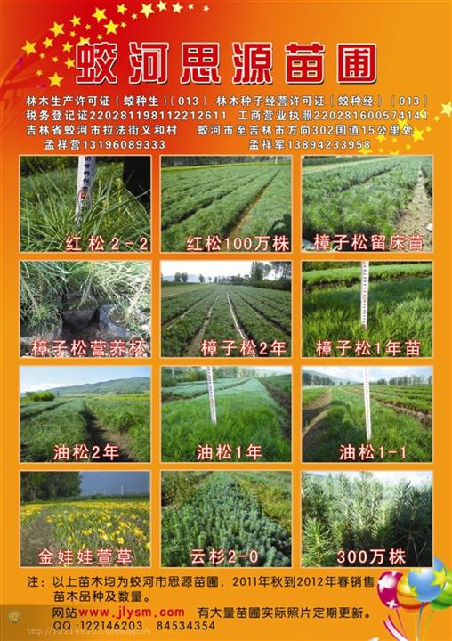 苗圃——表演輕柔,平靜,細密的演員