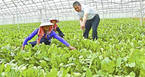 烹壩親子農場開園啦,認領活動開始報名啦