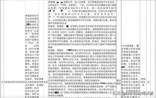 環保督察督辦重點破壞生態礦山,為何時隔一年多仍然無法關閉