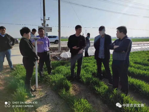 山東 河南 河北 秋樂人齊上陣,迎戰市場
