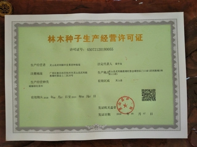 [紅心芭樂(lè)番石榴苗批發(fā)]紅心芭樂(lè)番石榴苗 價(jià)格25元/棵