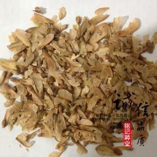 供應正宗美國紅楓種子 美國紅楓秋火焰 林木種子 一級新采 質(zhì)量保證_世界工廠網(wǎng)