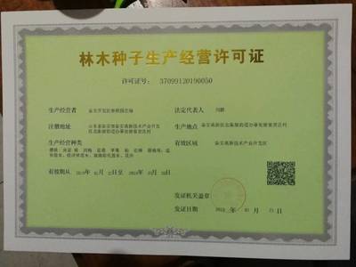 產地直銷葡萄苗 當年葡萄苗 口感好 甜度高 陽光玫瑰葡萄苗