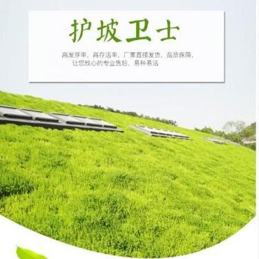 苗木生產許可證 林木種子生產經營許可證