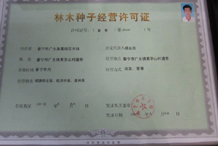 經營許可證-普寧市廣太美嘉綠花木場 公司證件(普寧秋楓供應、普寧桃花心木價格、普寧黃槐批發)|金泉網