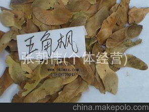 辛夷種子供應商,價格,辛夷種子批發市場 