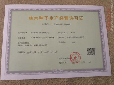 無刺花椒苗產量,花椒育苗基地,適合山地種植的花椒樹