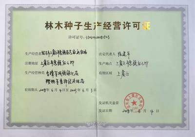 嵊州金庭桃形李苗培育基地桃形李樹苗價格