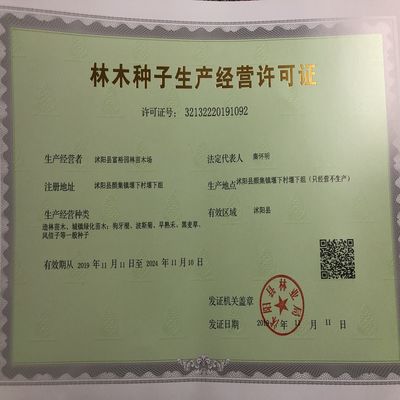 礦山復綠草綠化光葉紫花苕種毛苕子草籽綠肥種籽果園野豌豆草種子