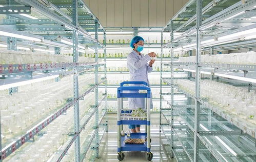 輝瑞新冠藥獲批推動國產藥加速上市 哪些個股值得入手