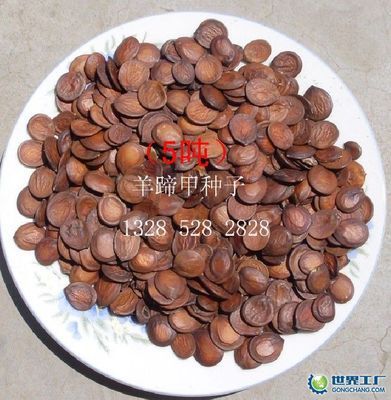 鄭州邢源種苗_世界工廠網全球企業庫