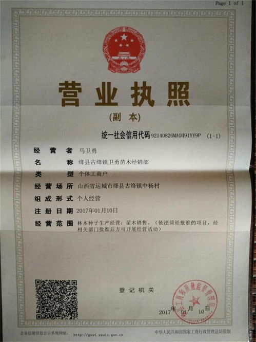 山杏苗價格 1公分山杏 2公分山杏 3公分山杏產地供應