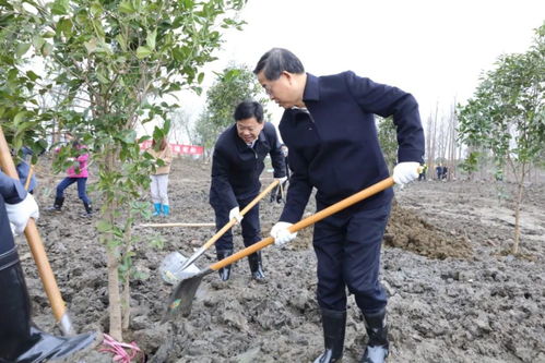 把綠色種在春天里,常熟將添一批公園