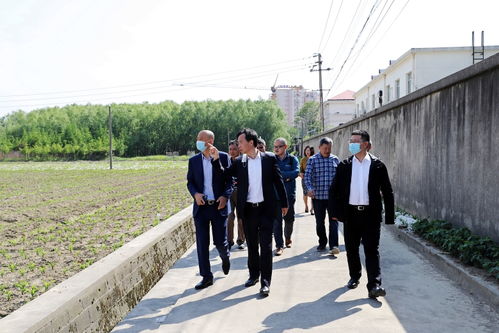 公司新聞 江蘇中江種業股份