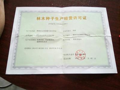 [沃柑苗批發]四川成都簡陽市柑桔苗 4.20元/棵沃柑苗 有各種 _ 一畝田