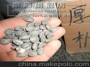 厚樸種子種苗供應商,價格,厚樸種子種苗批發市場 